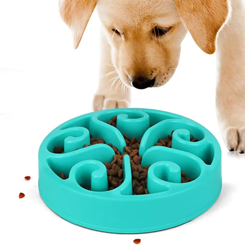 Slow Feeder Dog Bowl – Anti-Gulping Interactive Feeding Bowl