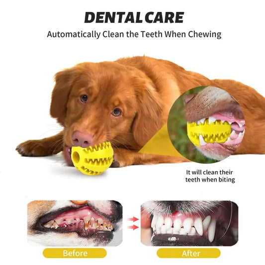Interactive Treat Dispensing Dog Ball – Dental