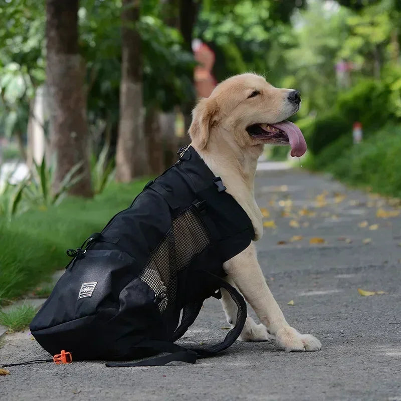Pawora Adventure Dog Carrier Backpack