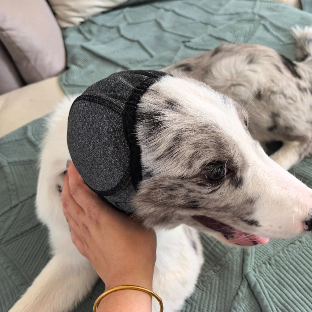 Dog Ear Protection Hood