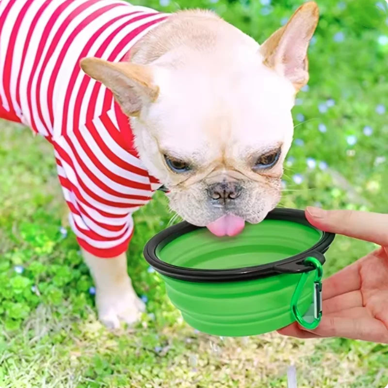 Collapsible Silicone Pet Travel Bowl for Dogs & Cats