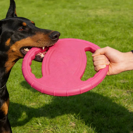 Interactive EVA Flying Disc Dog Toy