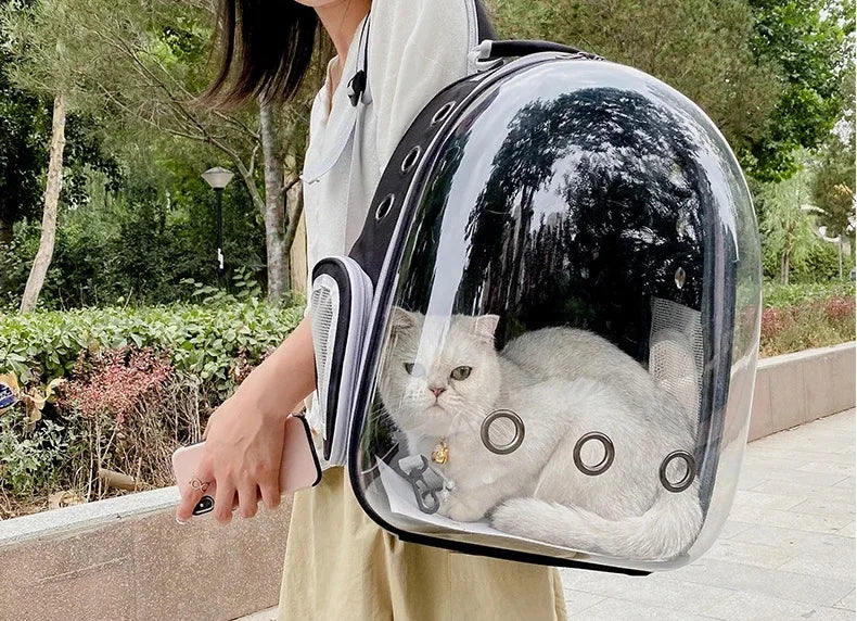 Ventilated Pet Carrier Backpack for Cats & Small Dogs – Transparent Travel Backpack