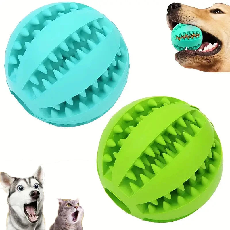Interactive Treat Dispensing Dog Ball – Dental