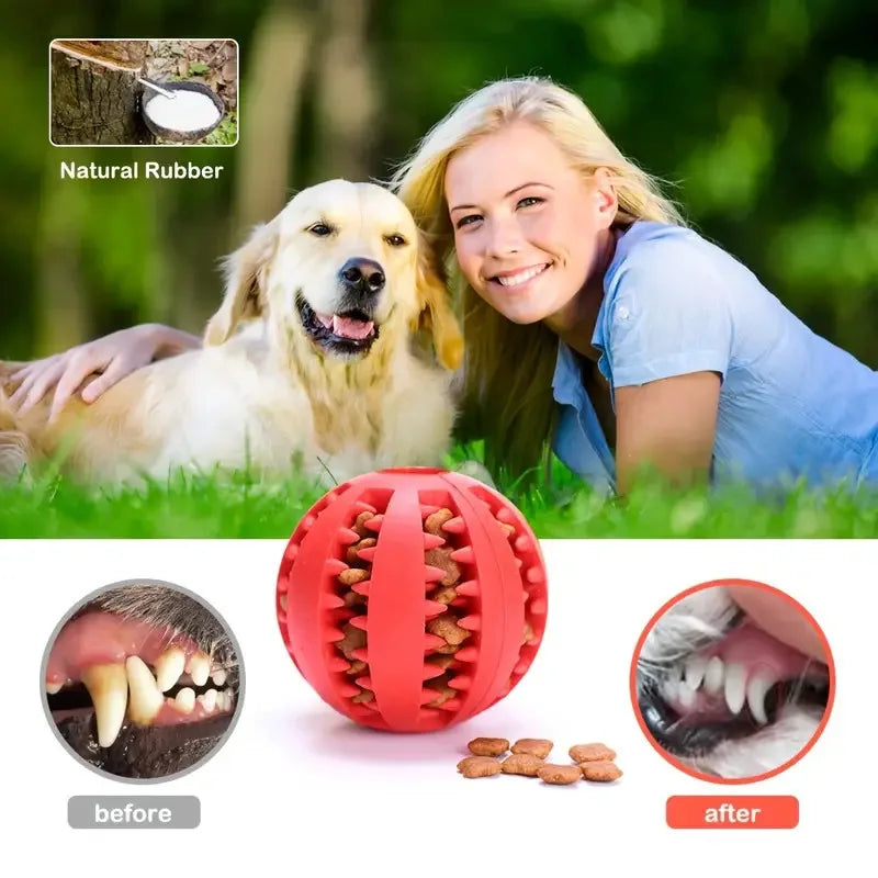 Interactive Treat Dispensing Dog Ball – Dental