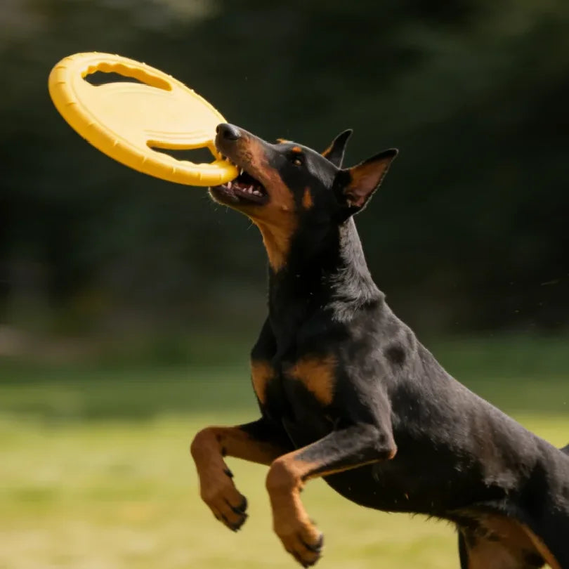 Interactive EVA Flying Disc Dog Toy