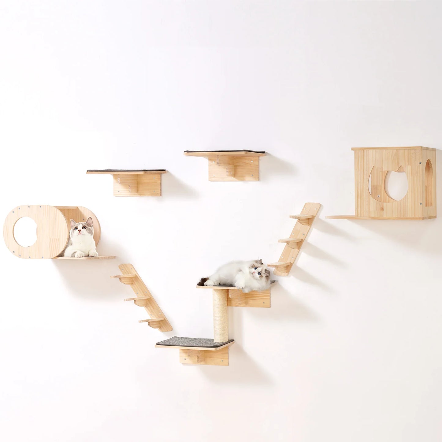 Wall-Mounted Cat Climbing Set with Shelves, Steps & Perches