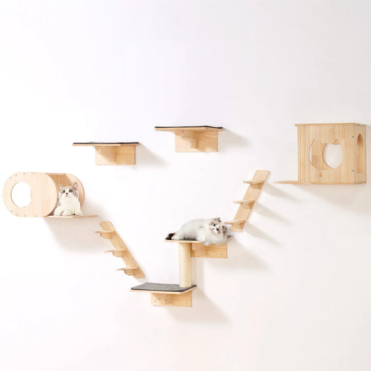 Wall-Mounted Cat Climbing Set with Shelves, Steps & Perches