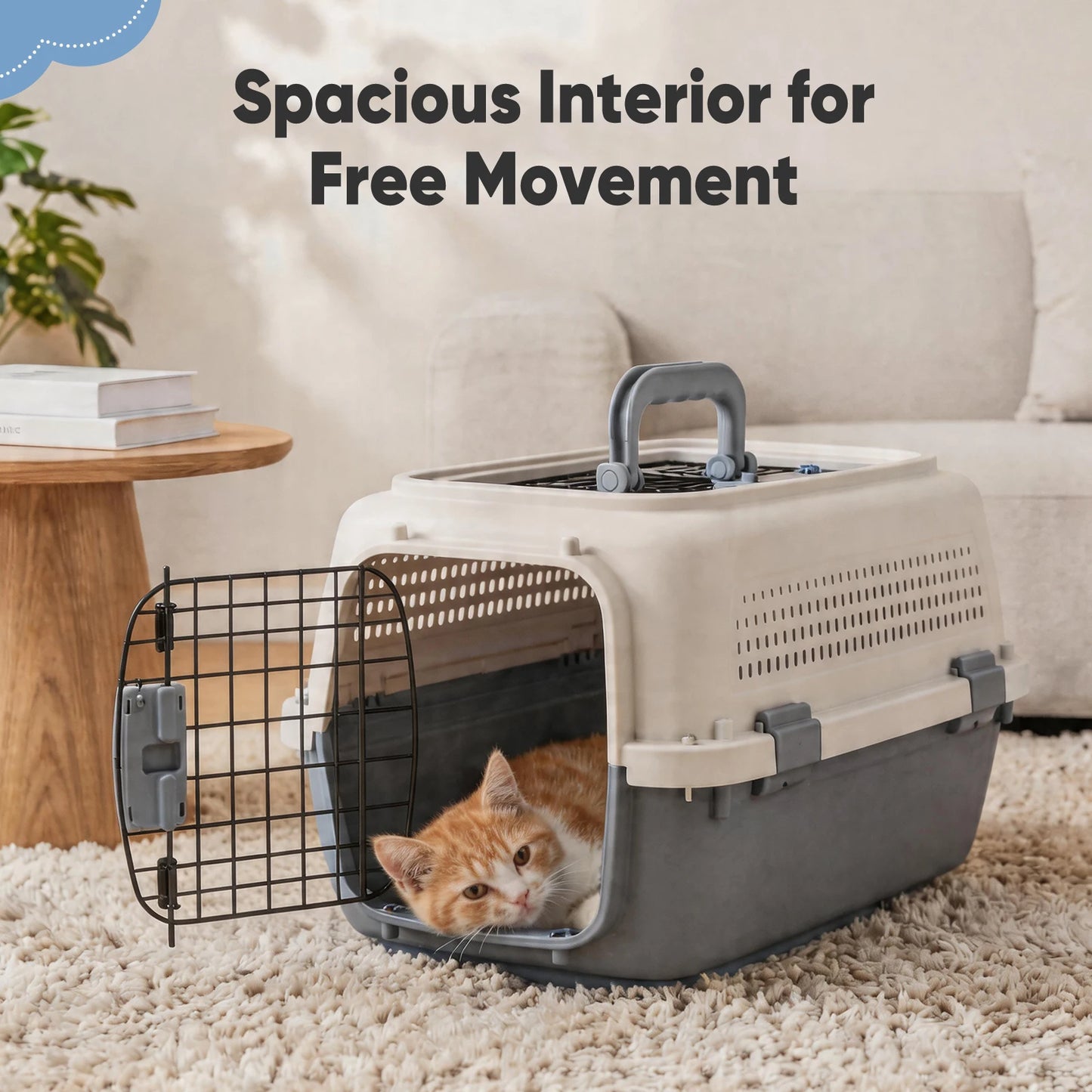Hard-Shell Pet Carrier for Cats & Small Dogs – Ventilated Travel Crate