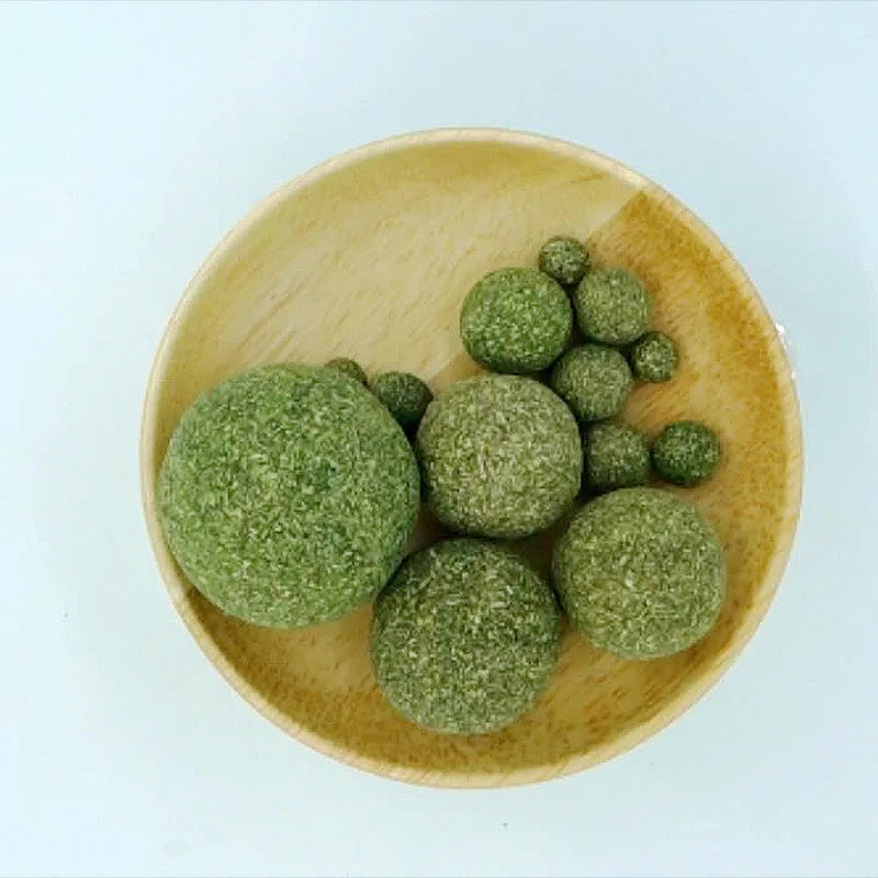 Catnip Balls for Cats – Natural Interactive Chew Toys