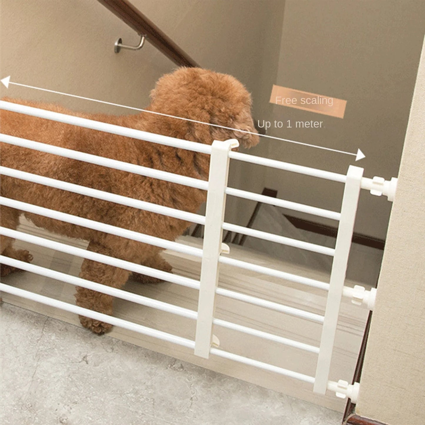 Adjustable Pet
