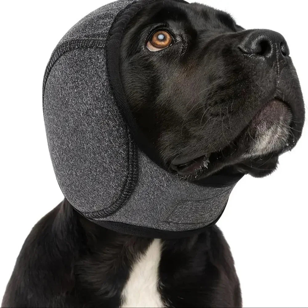 Dog Ear Protection Hood