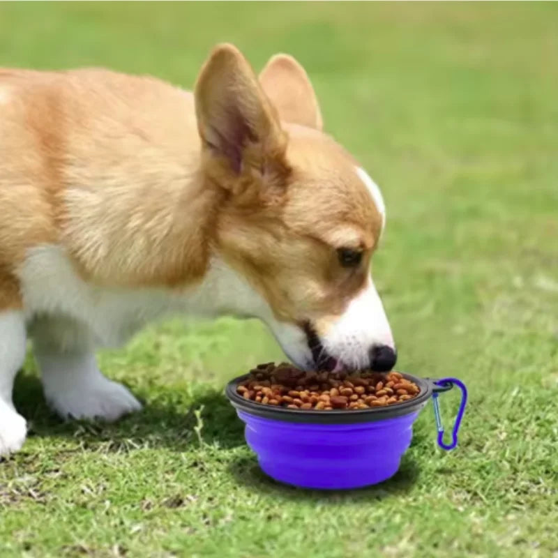 Collapsible Silicone Pet Travel Bowl for Dogs & Cats