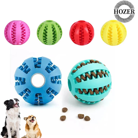 Interactive Treat Dispensing Dog Ball – Dental
