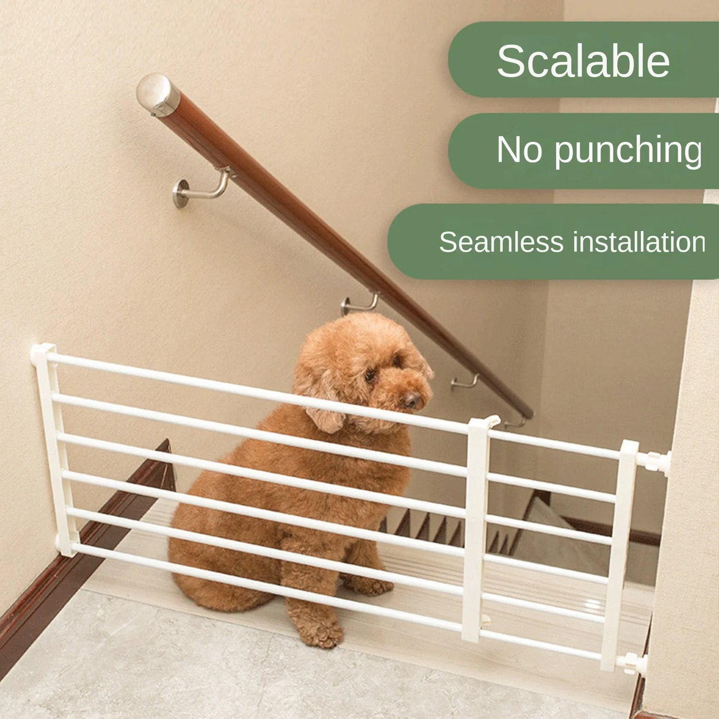 Adjustable Pet