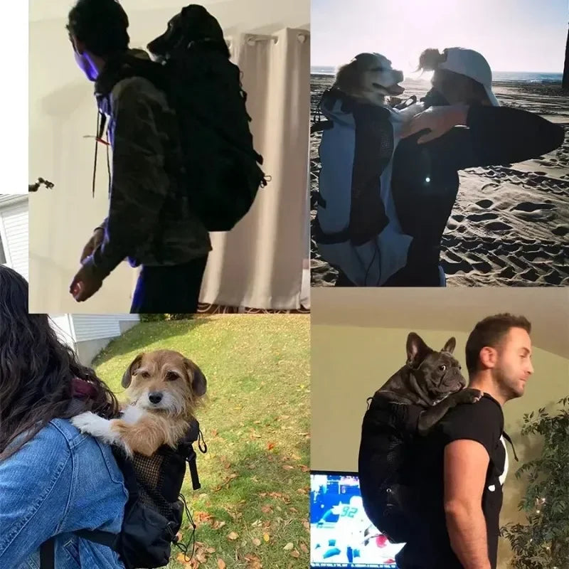 Pawora Adventure Dog Carrier Backpack