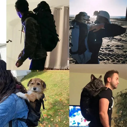 Pawora Adventure Dog Carrier Backpack