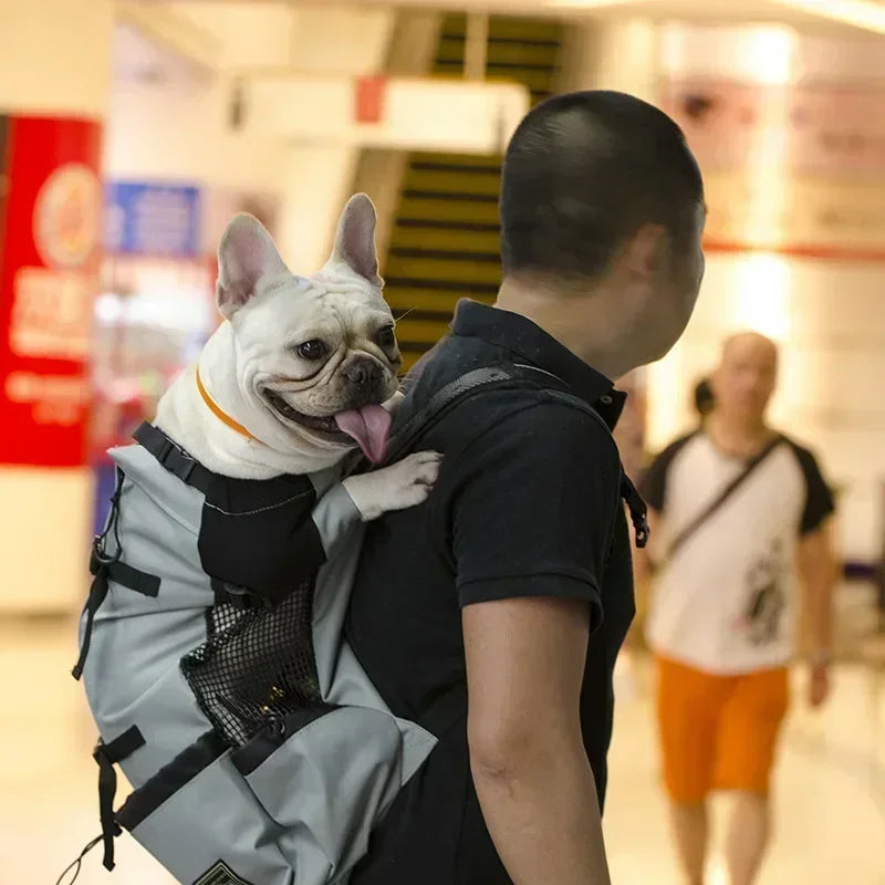 Pawora Adventure Dog Carrier Backpack