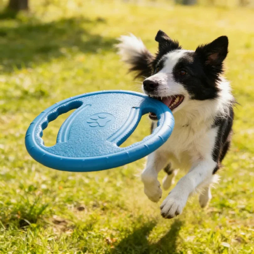 Interactive EVA Flying Disc Dog Toy