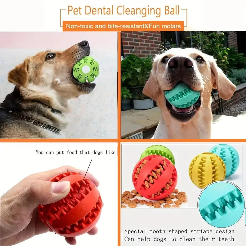 Interactive Treat Dispensing Dog Ball – Dental