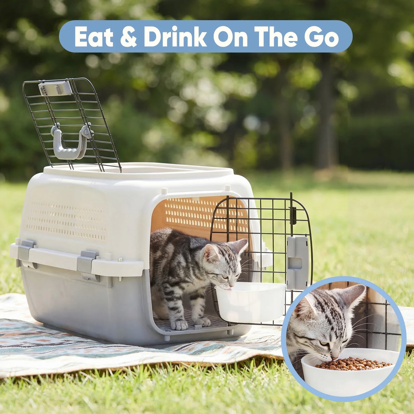 Hard-Shell Pet Carrier for Cats & Small Dogs – Ventilated Travel Crate
